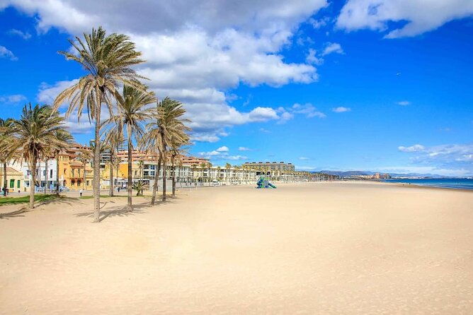 e-bike-tour-beaches-to-city-of-arts-colon-market-from-e3000