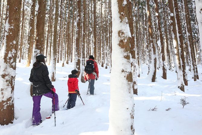 %e3%80%905-minutes-from-water-ic%e3%80%91-snow-trekking-half-day-tour-to-enjoy-japanese-snowscapes