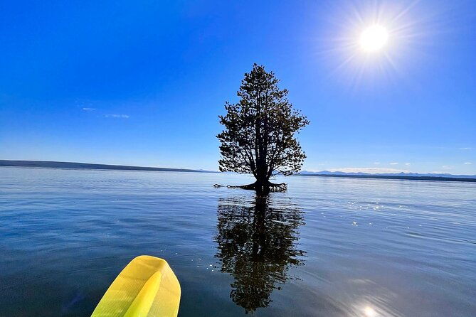 early-morning-guided-kayak-tour-2