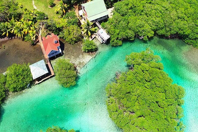 east-sightseeing-mangrove-tunnel-snorkel-hole-in-the-wall-with-transfer