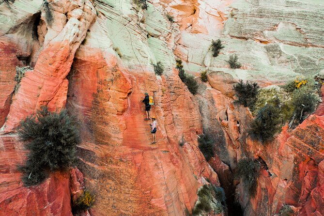 east-zion-elk-heart-cliffs-via-ferrata-and-rappelling-3hr