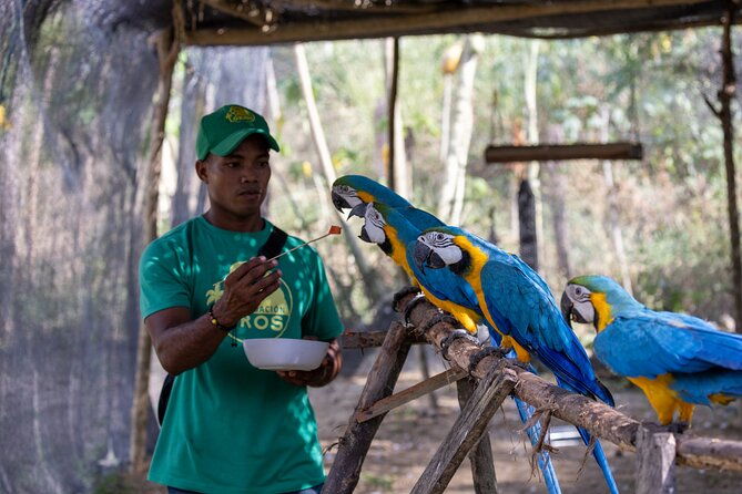 eco-adventure-and-volunteering-at-parrots-and-macaws-sanctuary