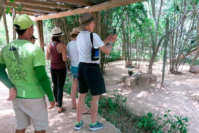 eco-plan-national-aviary-and-lunch-in-playa-mambo-beach-baru