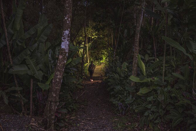 ecogarden-arenal-night-walk