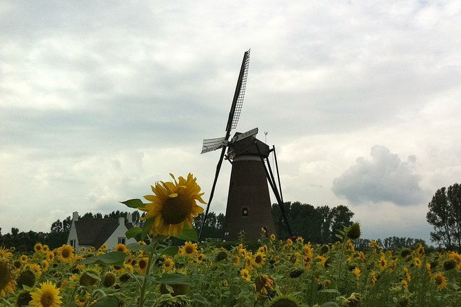 eindhoven-e-fatbike-tour-in-the-footsteps-of-vincent-van-gogh