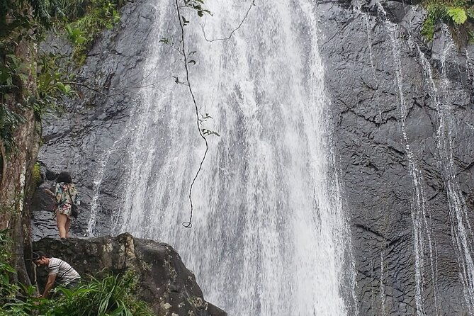 el-yunque-rainforest-guided-tour