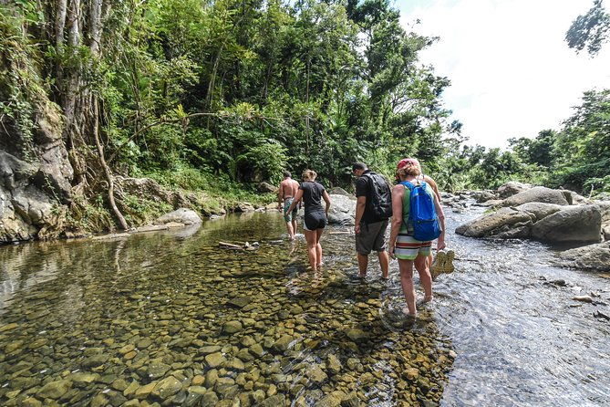el-yunque-rainforest-tour-with-transport-from-san-juan-area