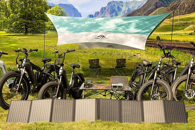 electric-bike-rentals-with-delivery