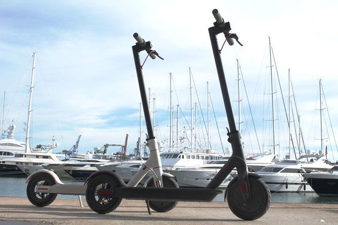 electric-scooter-rental-2