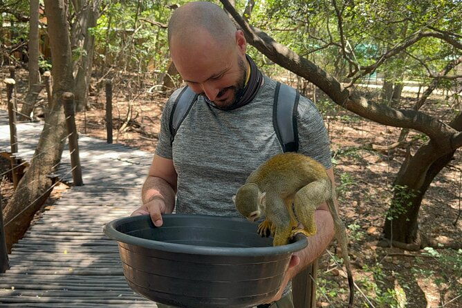 elephant-monkey-sanctuary-tour-from-johannesburg-2