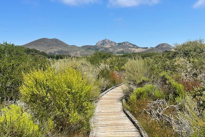 elfin-forest-nature-tour-with-local-sweet-and-savory-tasting