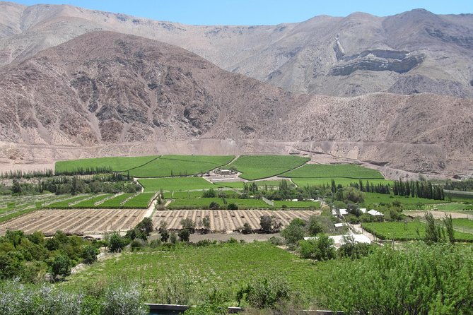 elqui-valley-and-vicuna-private-tour-including-lunch