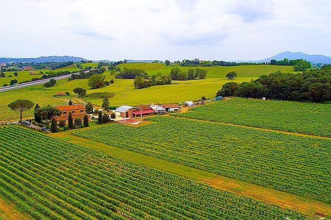 enjoy-a-meal-with-wine-tasting-in-the-vineyard-of-podere-casanova