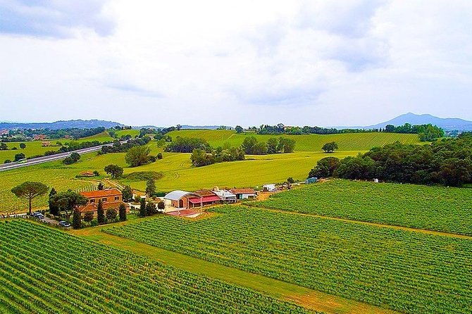 enjoy-a-wine-tasting-after-a-cycling-excursion-in-the-magic-of-tuscany