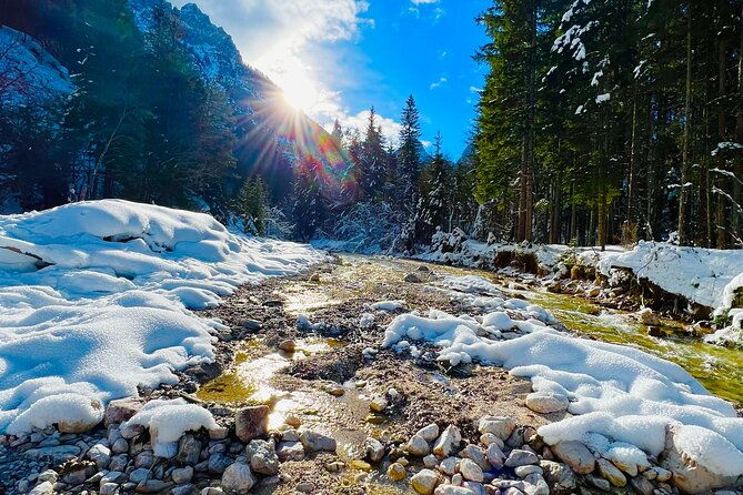 essence-of-slovenia-private-photoshoot-experience