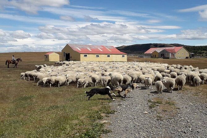 estancia-from-the-commune-of-laguna-blanca