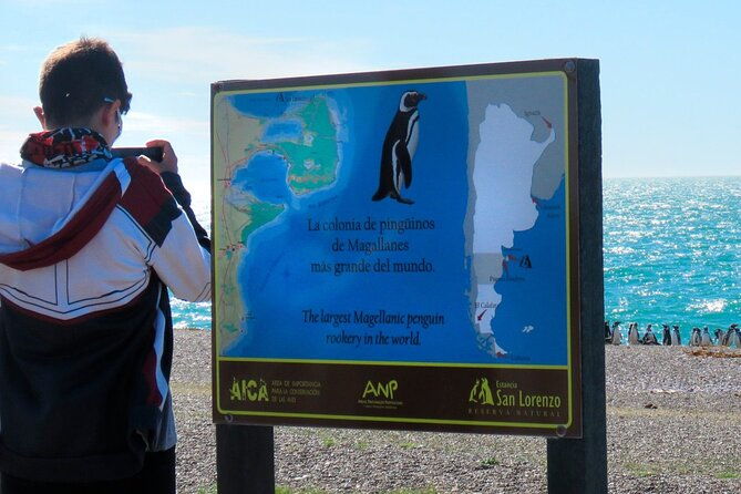 estancia-san-lorenzo-home-of-the-largest-penguin-colony