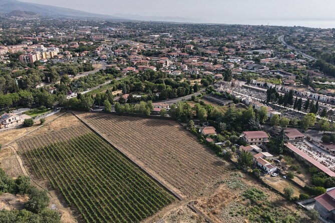 etna-urban-winery-tasting-with-street-food-platter-and-vineyard