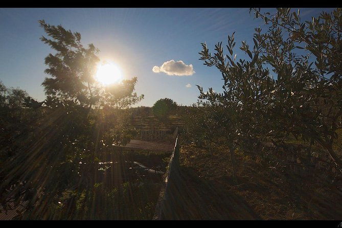 etna-volcanic-yoga-and-meditation-weekend-private-experience