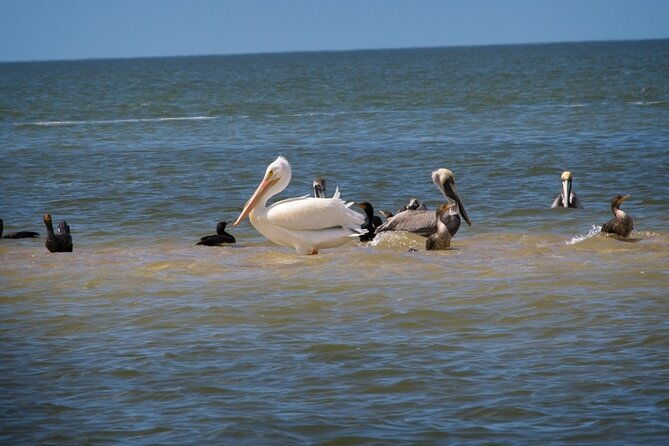 everglades-national-park-3-hikes-90-minute-boat-tour-lunch