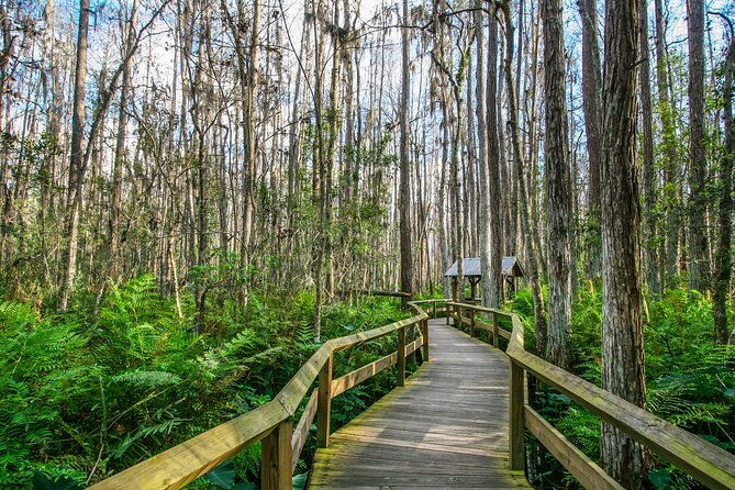 everglades-national-park-self-guided-driving-audio-tour-2