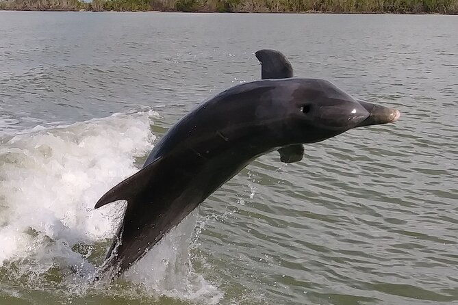everglades-national-park-small-group-guided-boating-and-walking-expedition-2