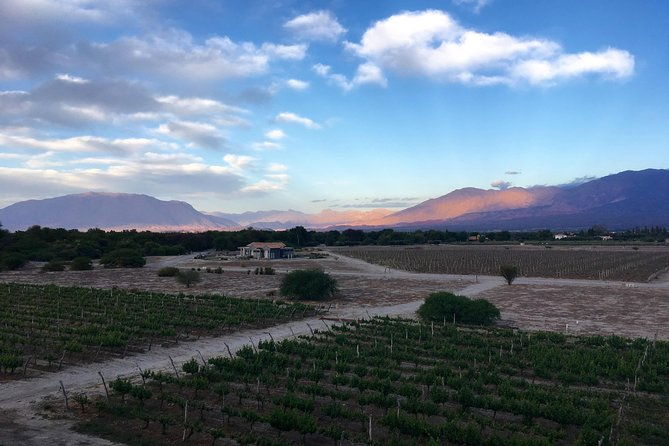 exclusive-day-long-private-tour-of-cafayate-vineyards