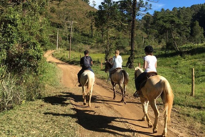 exclusive-horse-experience-with-pic-nic-at-belvedere