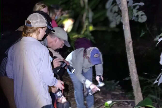 exclusive-night-walk-in-la-fortuna-and-natural-frog-garden