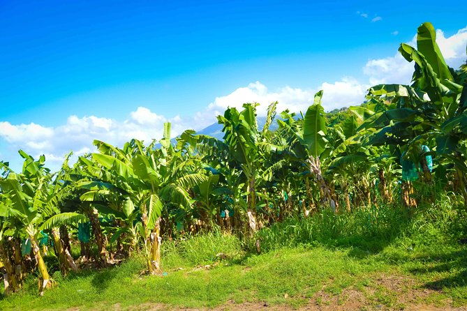 excursions-in-the-north-or-in-the-south-of-martinique