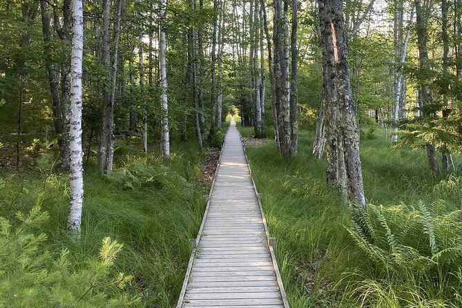 experience-acadia-private-3-hr-tour-with-local-guide