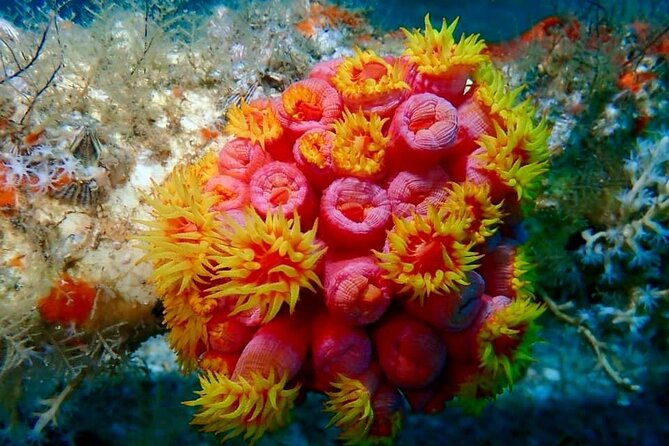 experience-peanut-island-adventures-2