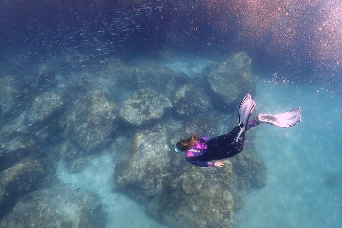 experience-snorkelling-in-puerto-del-carmen-lanzarote-2