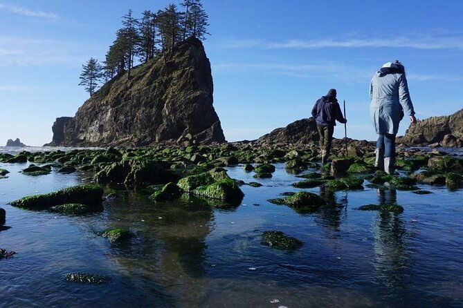 experience-the-spectacular-beauty-of-the-olympic-peninsula