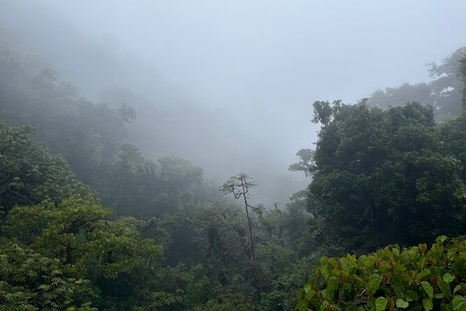 explore-and-learn-on-a-tour-of-the-magic-monteverde-cloud-forest