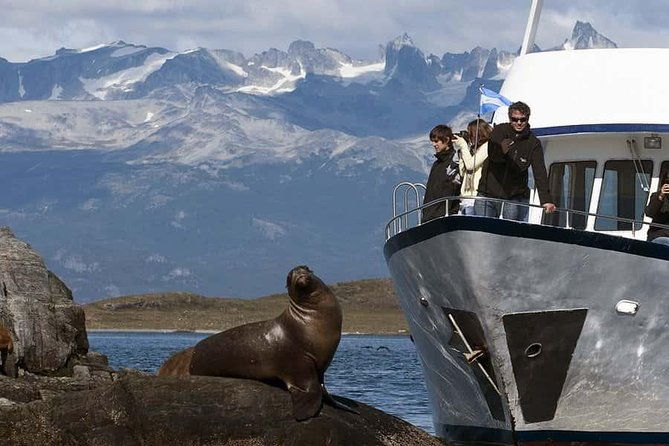 explore-beagle-channel-and-sea-lions-island-on-a-catamaran-cruise