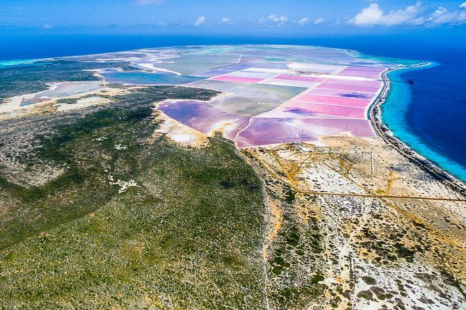 explore-bonaire-north-south-tour