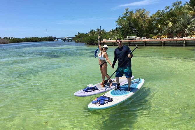 explore-the-mangrove-creeks-with-an-all-day-tandem-kayak-rental-2