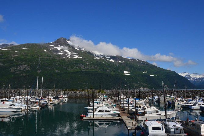exquisite-wildlife-wilderness-photo-tour-anchorage-whittier