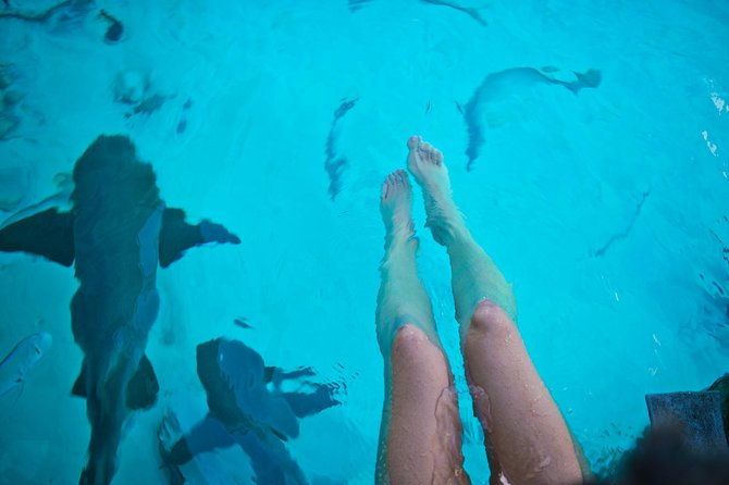 exuma-elite-escape-luxury-fly-in-pig-beach-adventure-7-stops