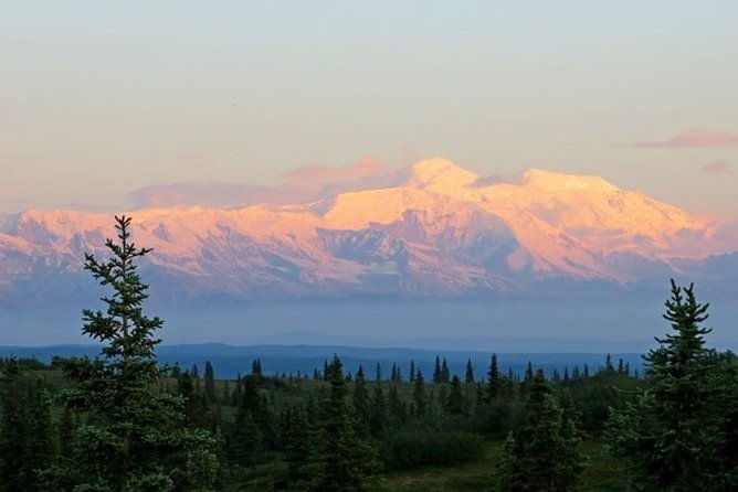fairbanks-to-denali-shuttle-service-2