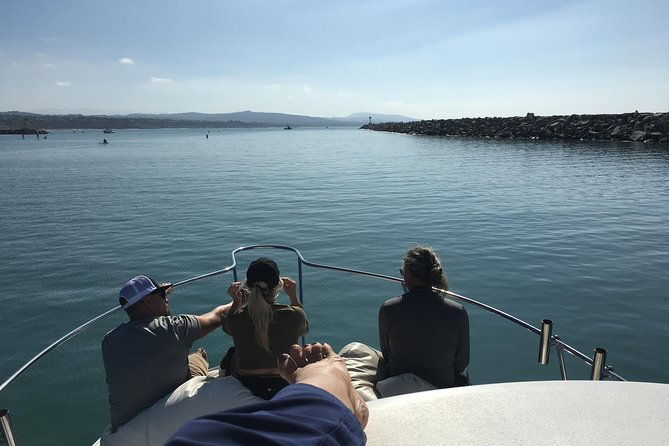 family-and-private-group-whale-and-dolphin-watching-2