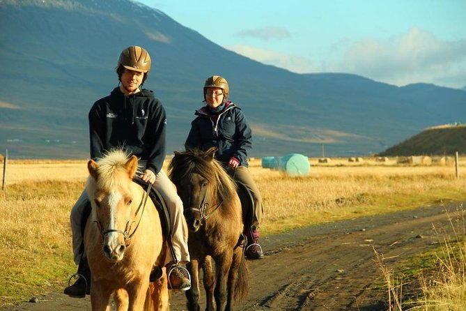 family-friendly-horse-riding-tour-in-skagafjordur
