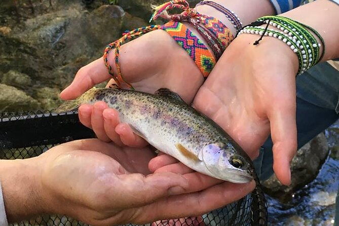 family-fun-private-half-day-fly-fishing-adventure