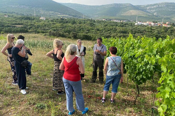 family-run-vineyard-tour-award-winning-wine-tasting-delicacies