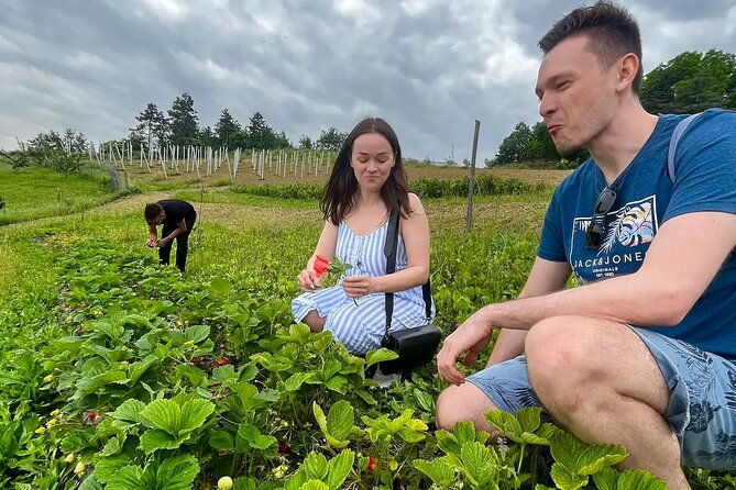 farm-stay-experience-and-dozza-private-day-tour-from-bologna