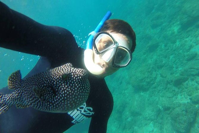 flamingo-beach-snorkeling-boat-tour
