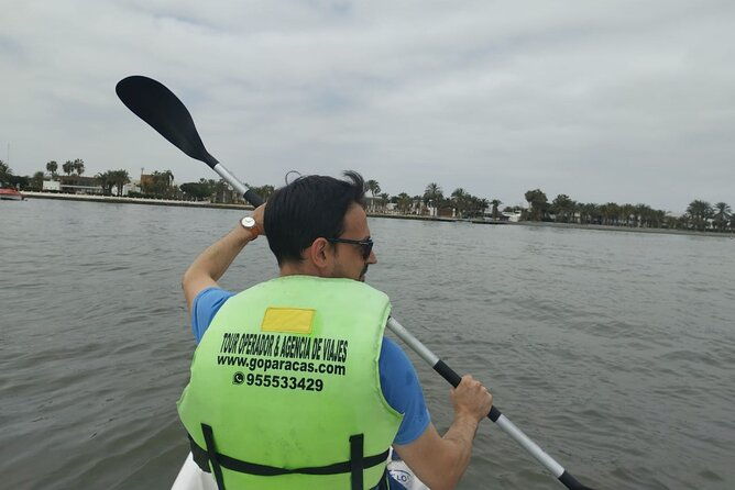 flamingo-sighting-in-a-kayak