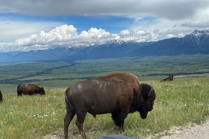 flathead-lake-bison-range-scenic-driving-tour