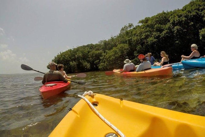 florida-keys-eco-tour-snorkel-kayak-lunch-transportation-2